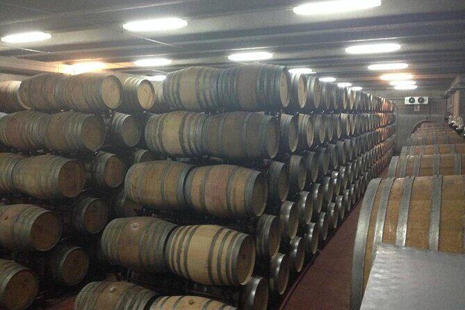 Visit to a Winery in Salento with Wine tasting and light lunch. From Lecce - Key Points