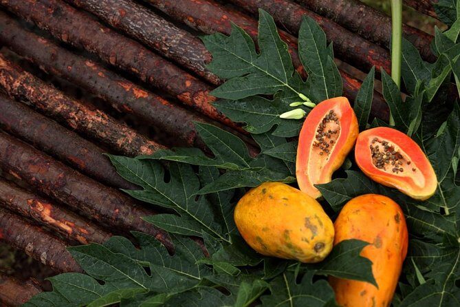 Visit to an Organic Farm in Cumbum Valley - Tamil Nadu - Key Points