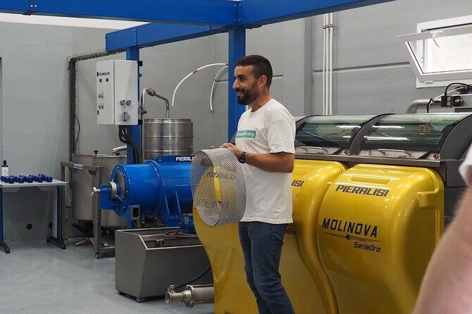 Visit to olive grove and olive mill with oil tasting and tasting - A Closer Look at the Tour