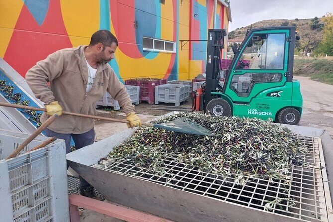 Visit to olive grove and olive mill with oil tasting and tasting - Frequently Asked Questions