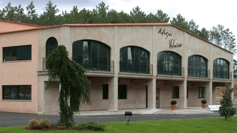 Visit to the Adegas Valmiñor winery and tasting - Visiting Adegas Valmiñor Winery and Tasting: A Genuine Galicia Wine Experience