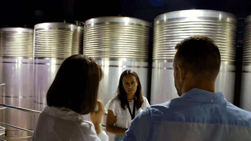 Visit to the Adegas Valmiñor winery and tasting - Why This Tour Offers Great Value