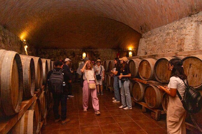 Visit to the archaeological site of Edzná + Ron - Frequently Asked Questions