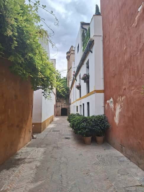 Visit to the cathedral, the Santa Cruz district and Plaza España - Key Points