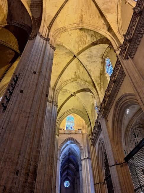 Visit to the cathedral, the Santa Cruz district and Plaza España - The Basics of the Tour Experience