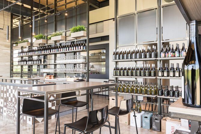 Visit to the cellar and tasting - A Closer Look at the Tour Experience