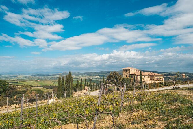 Visit to the Cellar with Wine & Food Tasting over the Val d'Orcia - FAQs
