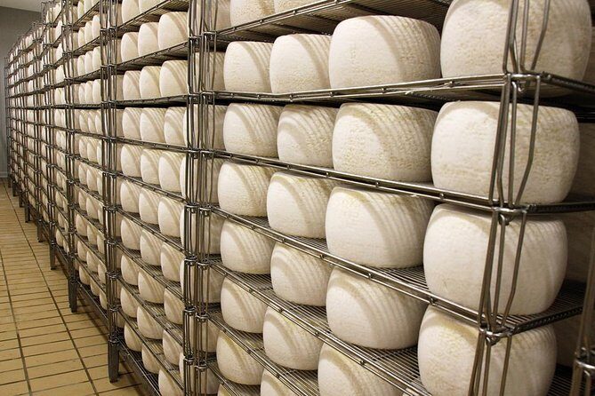 Visit to the dairy - FAQs