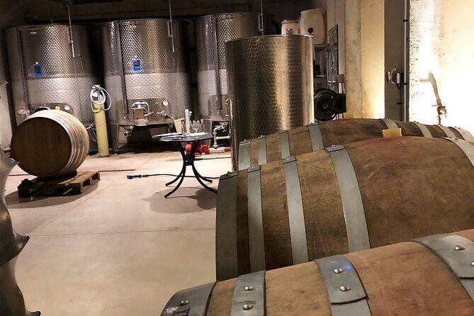 Visit to the Faugères Vineyards with Picnic from Béziers - The Culmination: Regional Picnic in Villemagne-l’Argentière