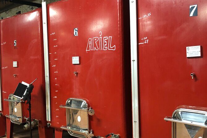 Visit to the Faugères Vineyards with Picnic from Béziers - Return and Reflection