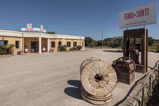 Visit to the olive grove, oil tasting and lunch at the farm - Who Is This Tour Best For?