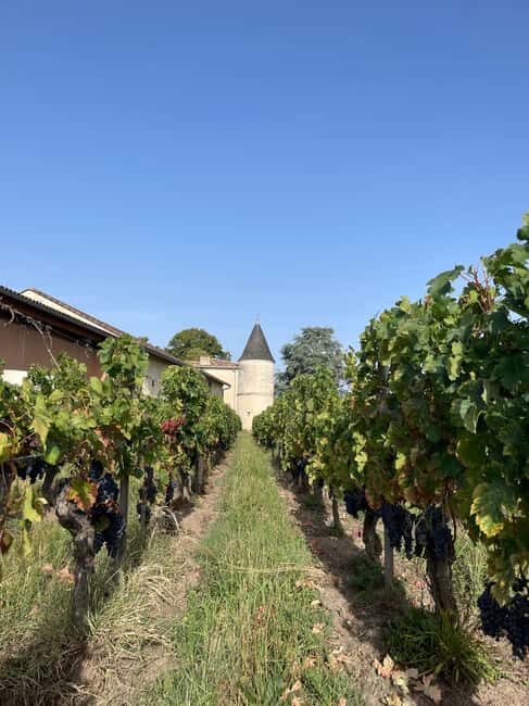 Visit to the property and wine/cheese pairing workshop - Is This Experience Worth It?