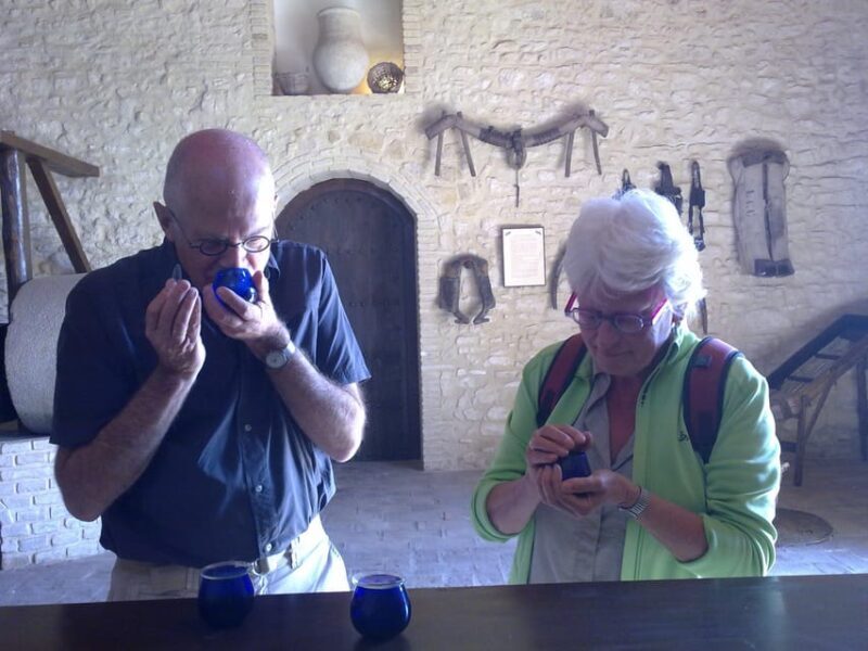 VISITA GUIADA ALMAZARA DE ACEITE Y BODEGA - Discover the Flavors and Secrets of Andalusia’s Olive Oil