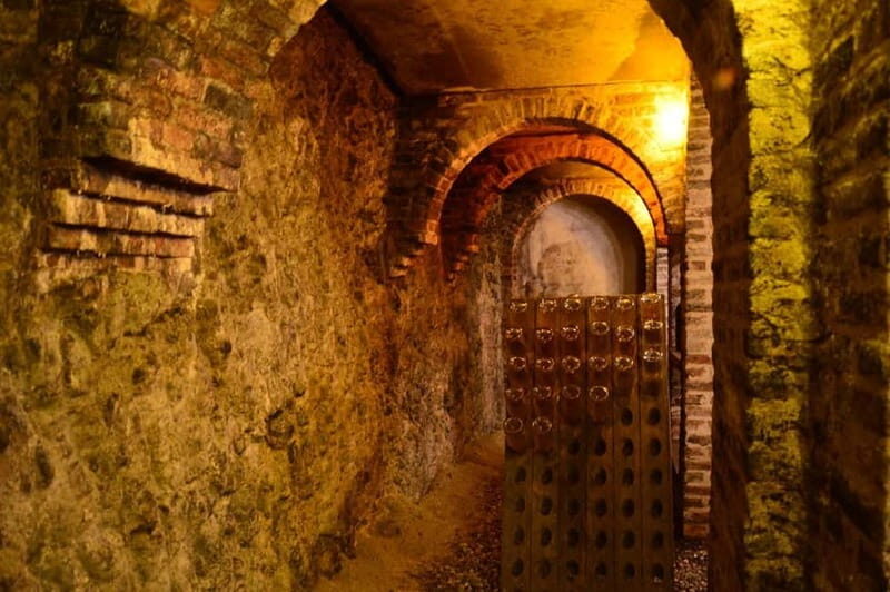 Visita guidata e Degustazione vini Monforte d'Alba - An In-Depth Look at the Experience