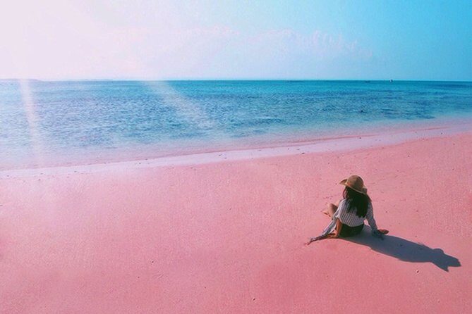 Visite L'île de Lombok: Pittoresque plage rose avec Guide Francophone - An Introduction to the Tour Experience