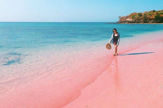 Visite L'île de Lombok: Pittoresque plage rose avec Guide Francophone - The Itinerary: A Step-by-Step Breakdown