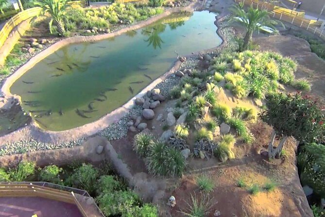 Visite the Crocodiles Park and Botanic garden - An Introduction to the Crocodiles Park and Botanic Garden Tour