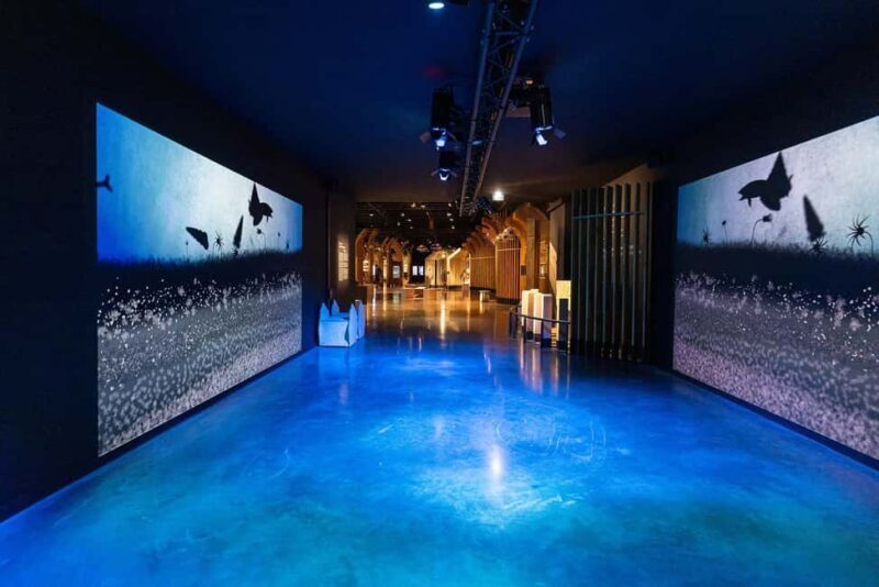 Visitor trail of the Cité in Beaune - Who Should Consider This Experience?