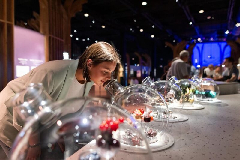 Visitor trail of the Cité in Beaune - Final Thoughts