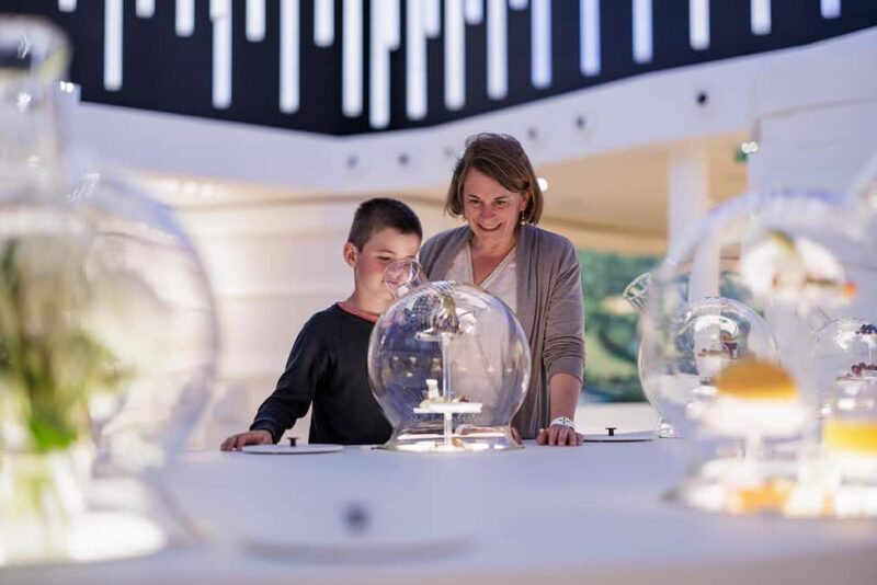 Visitor trail of the Cité in Mâcon - Key Points