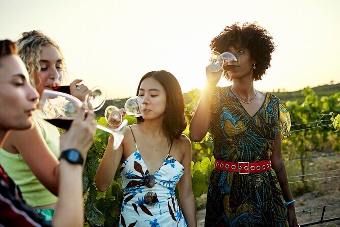 Vistas and Wines: Adelaides Gems and Wine Private Tour - Key Points