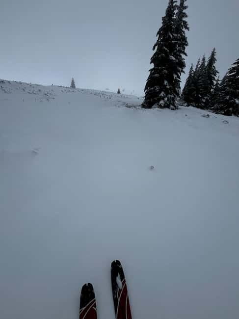 Vitosha: Ski Day Trip by Mountain Stars Ski School - The Return Journey and Sofia