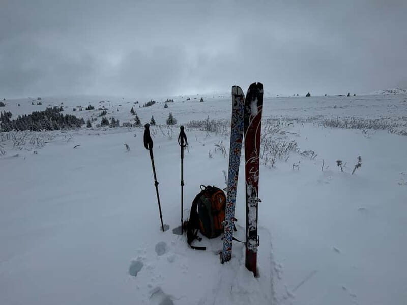 Vitosha: Ski Day Trip by Mountain Stars Ski School - Who Will Enjoy This Tour?