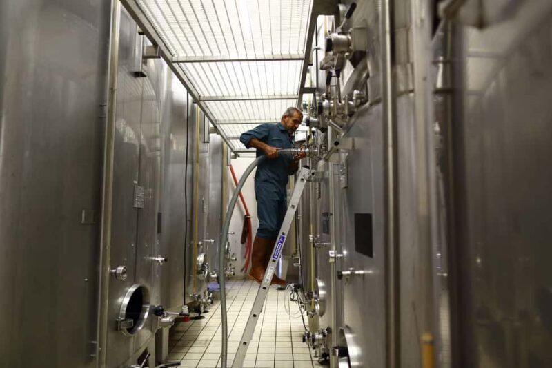 Vitteaut-Alberti: cellar tour, tasting of Crémants de Bourgogne - A Closer Look at the Experience