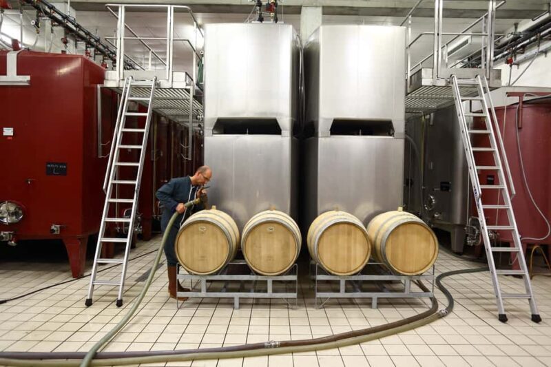 Vitteaut-Alberti: complete tasting of our Crémants de Bourgogne - FAQs