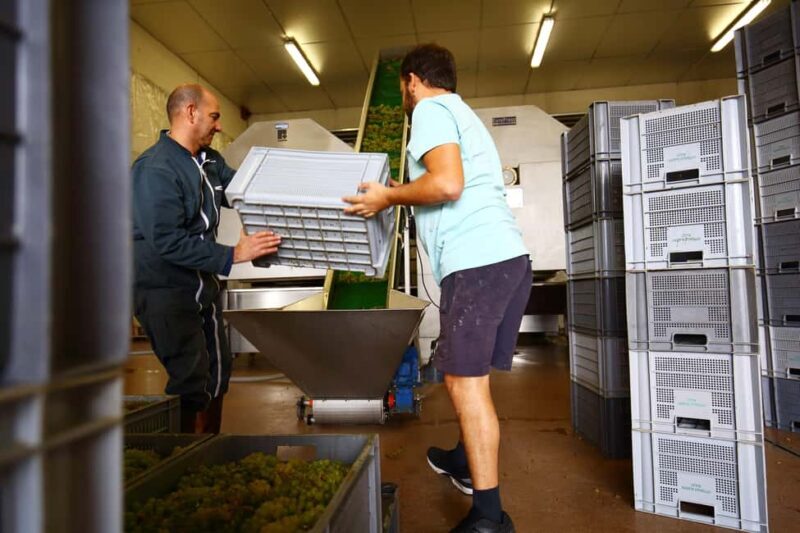 Vitteaut-Alberti: discovery tasting of 4 Crémants de Bourgogne - Final Thoughts: Who Is This Experience Best For?