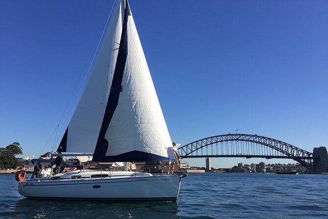Vivid 90-Minute Sydney Harbour Catamaran Cruise with BYO Drinks - The Sum Up