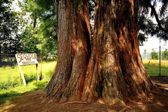 Vladeasa Peak and Bride's Waterfall Day Hike - An In-Depth Look at the Vladeasa Mountain Experience