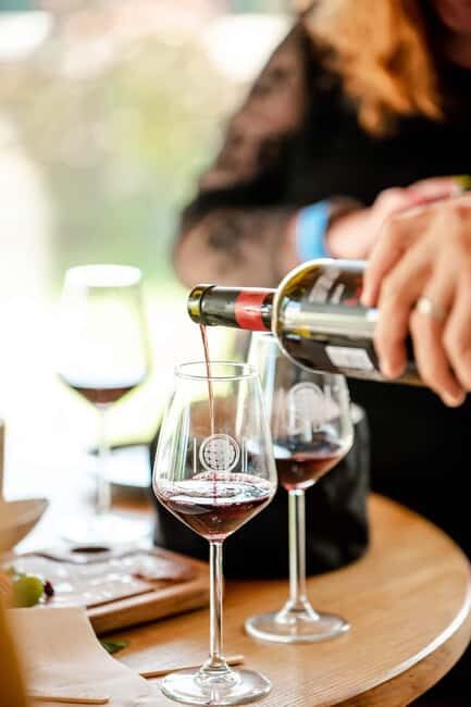 Vodice: Vinarija Birin Winery Tour with Wine Tasting - Tasting the Premium Wines