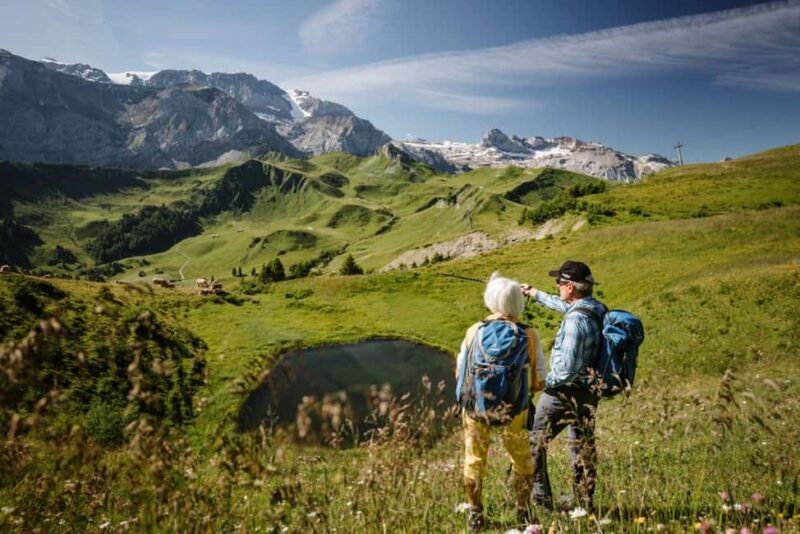 Vogellisi Mountain: Easy Panoramic Flower Trail Hike - What to Expect from the Vogellisi Flower Trail