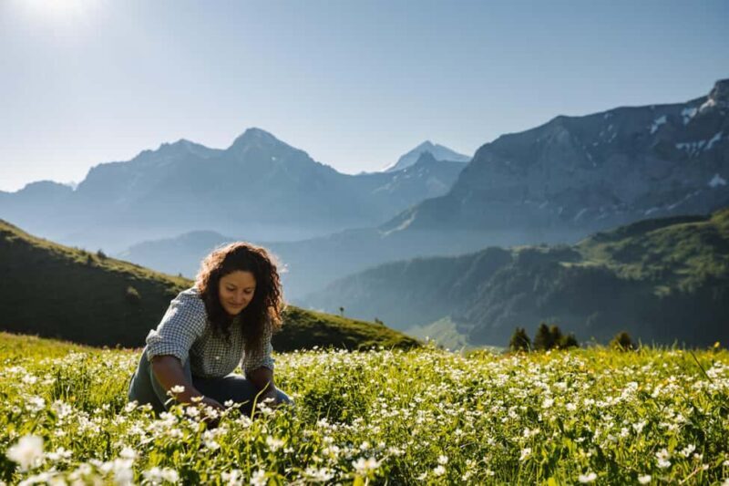 Vogellisi Mountain: Easy Panoramic Flower Trail Hike - The Itinerary in Detail