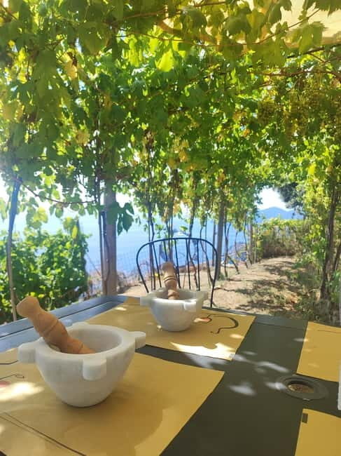 Volastra: BarCa Wine Tasting in Cinque Terre and Pesto Class - Practical Tips for Travelers