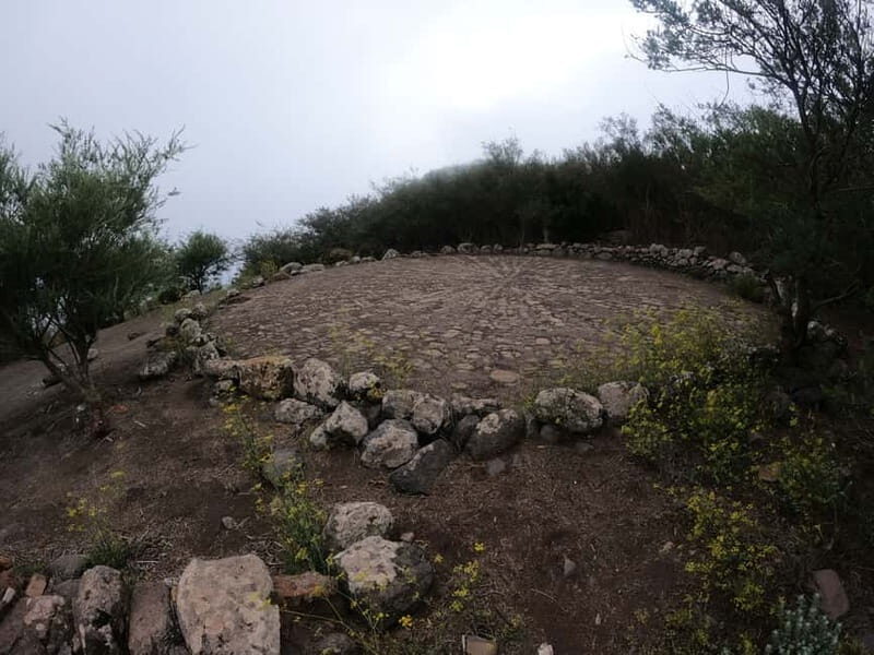 Volcanes, Viñedos y Laurisilva  Santiago del Teide - The Experience in Practice