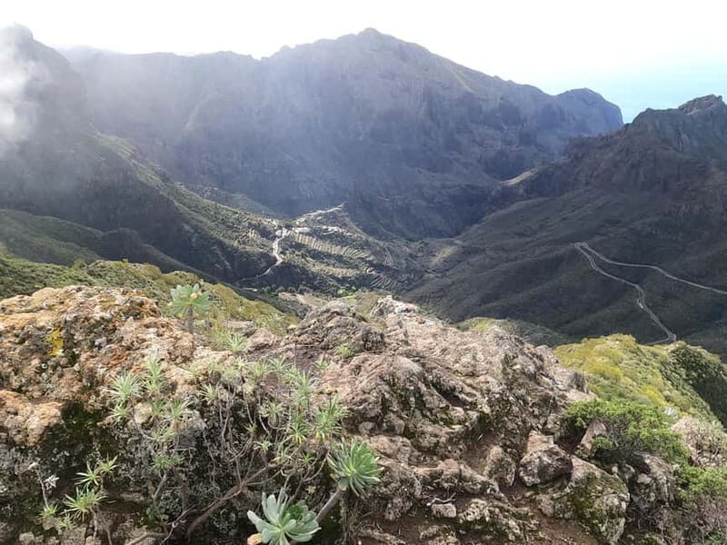 Volcanes, Viñedos y Laurisilva  Santiago del Teide - Who Should Consider This Tour?