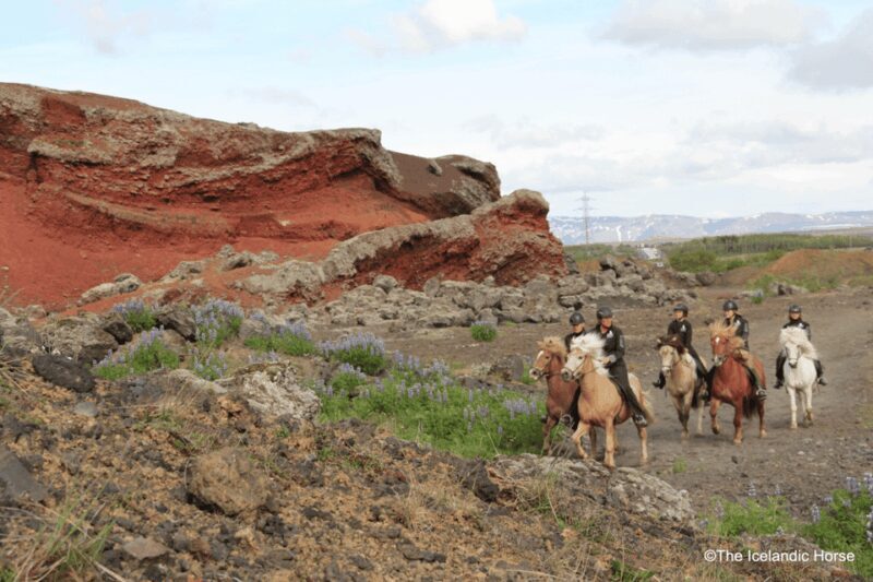 Volcanic Landscape Iceland Horse Riding Tours - The Experience: What You Can Expect