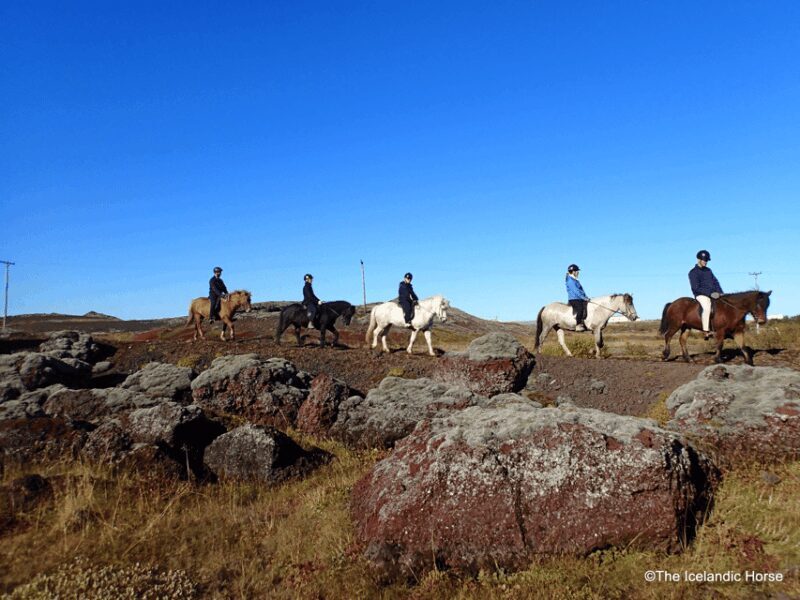 Volcanic Landscape Iceland Horse Riding Tours - What Reviewers Love Most