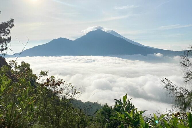 Volcano Bali Tour with Ubud Village - Tegenungan Waterfall - Rice Terrace - The Detailed Itinerary: What to Expect at Each Stop