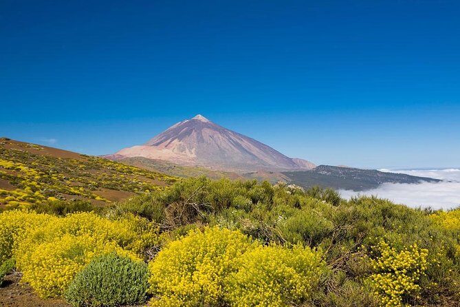 Volcano & Mt Teide Private Tour in Tenerife - Exploring Tenerife’s Volcano & Mt Teide: An Authentic Adventure