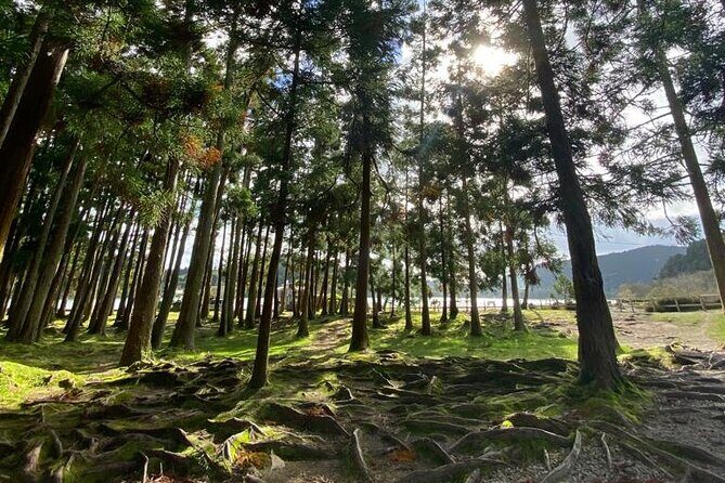 Volcano of Fogo and Furnas Private Tour - Breaking Down the Itinerary