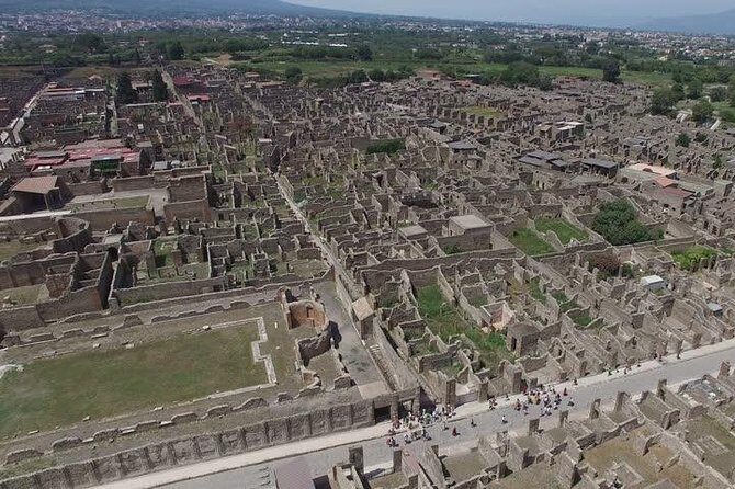 Volcano & Ruins: visit Mt. Vesuvius, Herculaneum and Pompeii tour - Final Thoughts