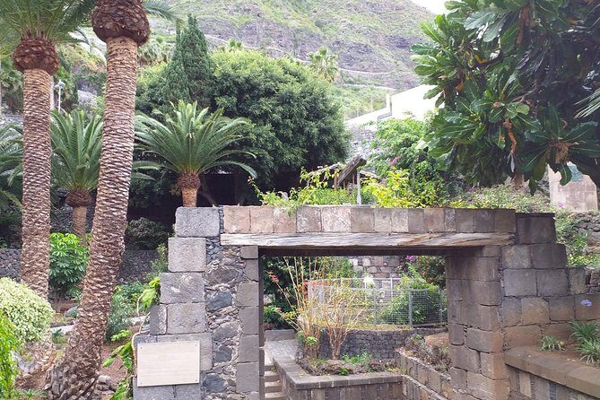 Volcano Teide National Park And North Of The Island VIP TOUR - What Makes This Tour Stand Out?