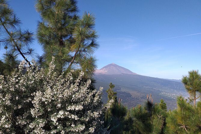Volcano Teide National Park And North Of The Island VIP TOUR - Final Thoughts