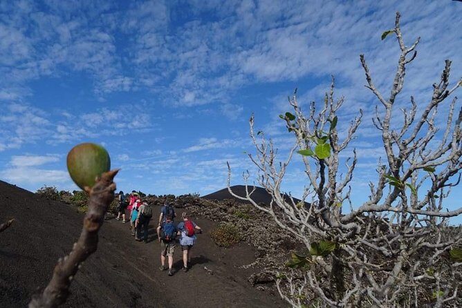 Volcano Trekking Tour (Timanfaya eruptions) - A Closer Look at the Itinerary