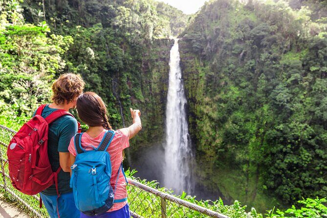 Volcanoes, Beaches and Waterfall Highlights Private Guided Tour - Black Sand Beach and Turtle Encounters