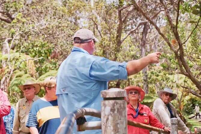 Volcanoes, Beaches and Waterfall Highlights Private Guided Tour - The Southern Coast and Unique Beaches