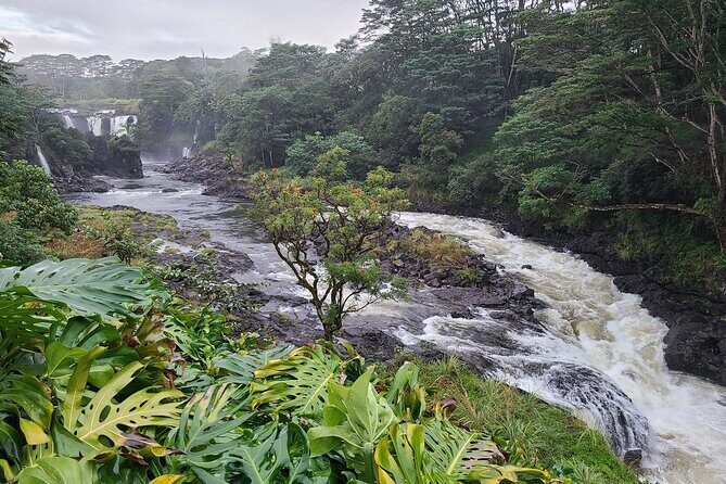 Volcanoes National Park and Hilo Private Tour - Is This Tour Worth the Price?